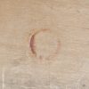 Spøttrup Skammel, egetræ, Spøttrup — billede 6